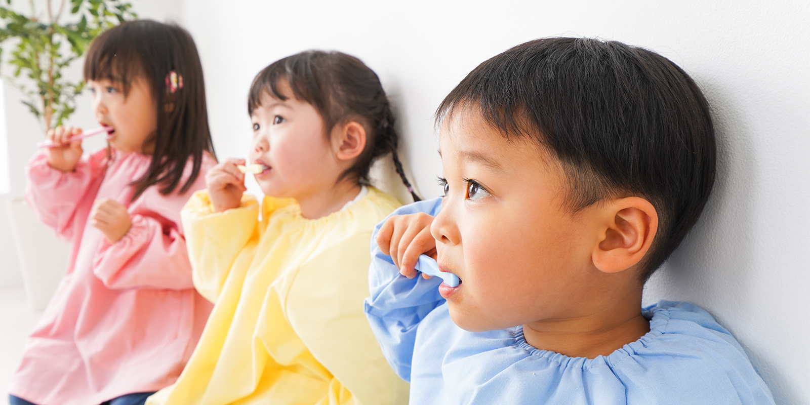 保護者みがき(0~3歳)